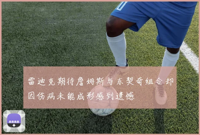 雷迪克期待詹姆斯与东契奇组合却因伤病未能成形感到遗憾