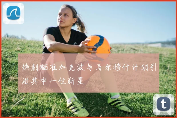 热刺瞄准加克波与马尔穆什计划引进其中一位新星
